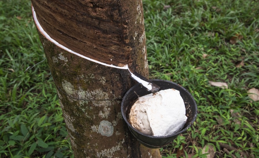 Natural rubber 900x550